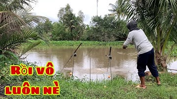 Câu Cá Tra Sông | Cảm Giác Mà Cá Pen Đóng Dính Cái Đã | Fishing Miền Tây