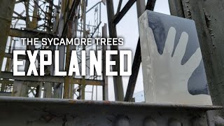 Begin: A Guide to The Sycamore Trees by Billy Tripp