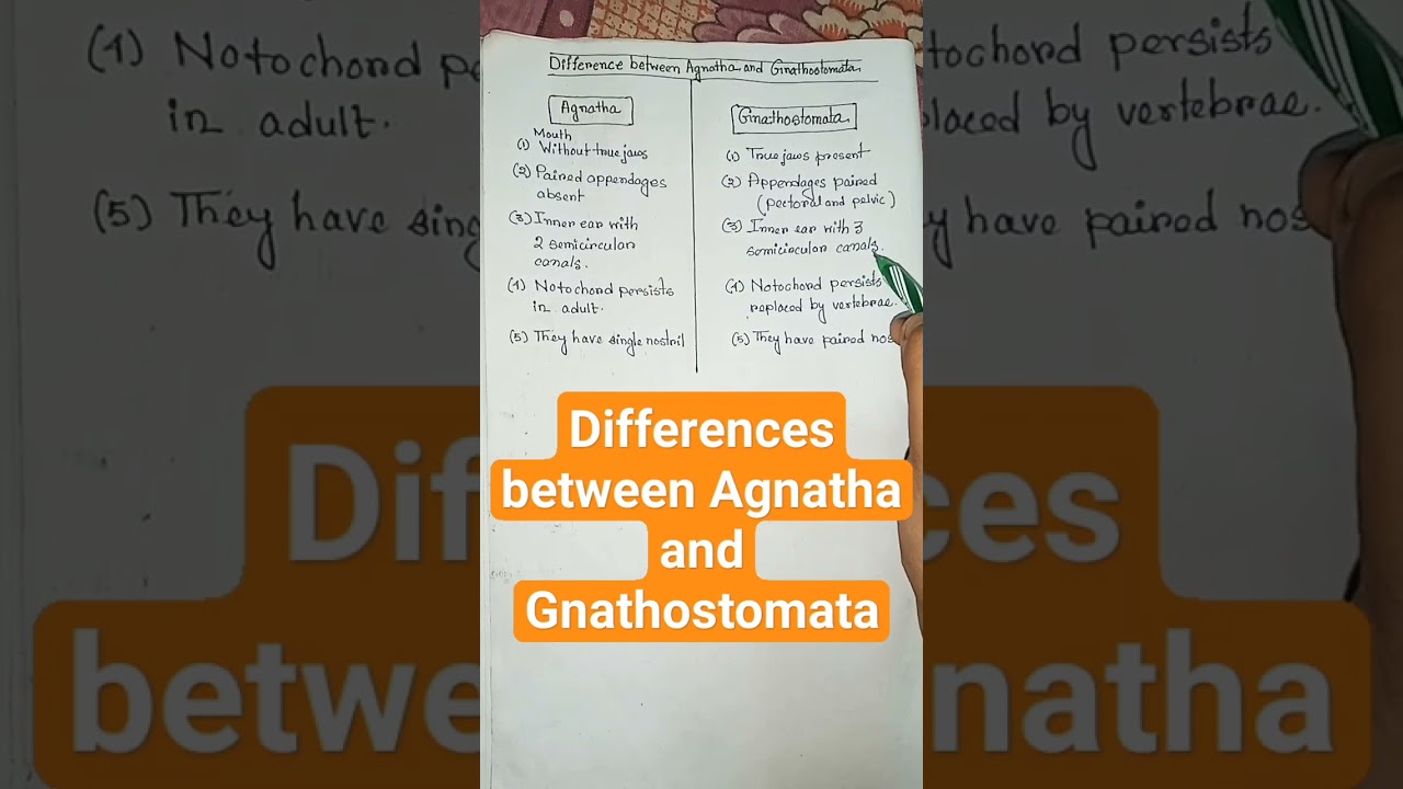 || Differences between Agnatha and Gnathostomata || 