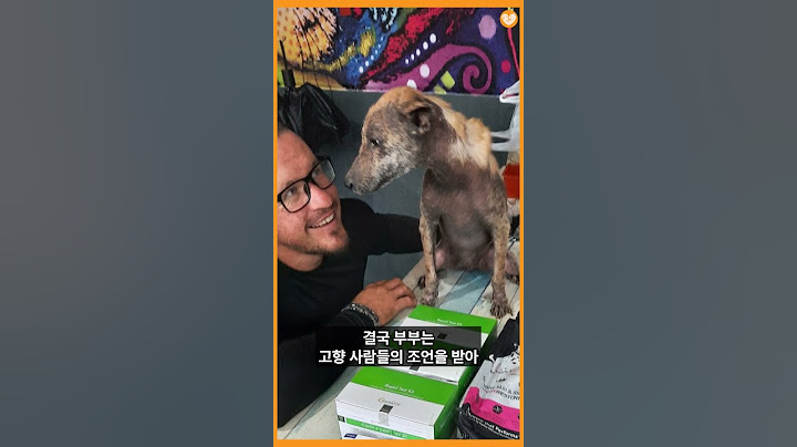 떠돌이 강아지들 위해 외딴 섬 정착한 부부 #shorts