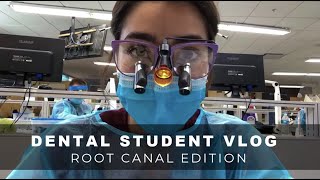 VLOG #2  Learning Root Canals in Dental School + new loupes, fire drill & live scorpions??