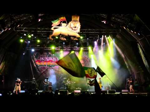 Marcia Griffiths (54-46 That's My Number) @ Rototom 18.08.2012