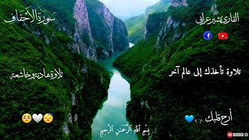 سورة الأحقاف | القارئ بشير عرابي | تلاوة هادئة و خاشعة🤍😴 | أرح قلبك💙🎧