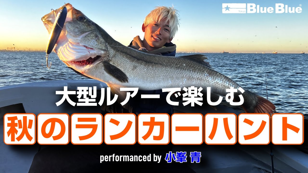 HUGE Seabass Hits in Tokyo Bay - by Ao Komine【SUBBED】 - YouTube