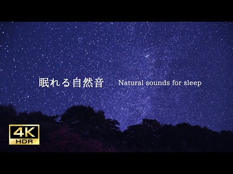 【ASMR自然音】心理カウンセラーが薦める癒し整い眠れる自然音「夜の森〜星と川と虫〜」