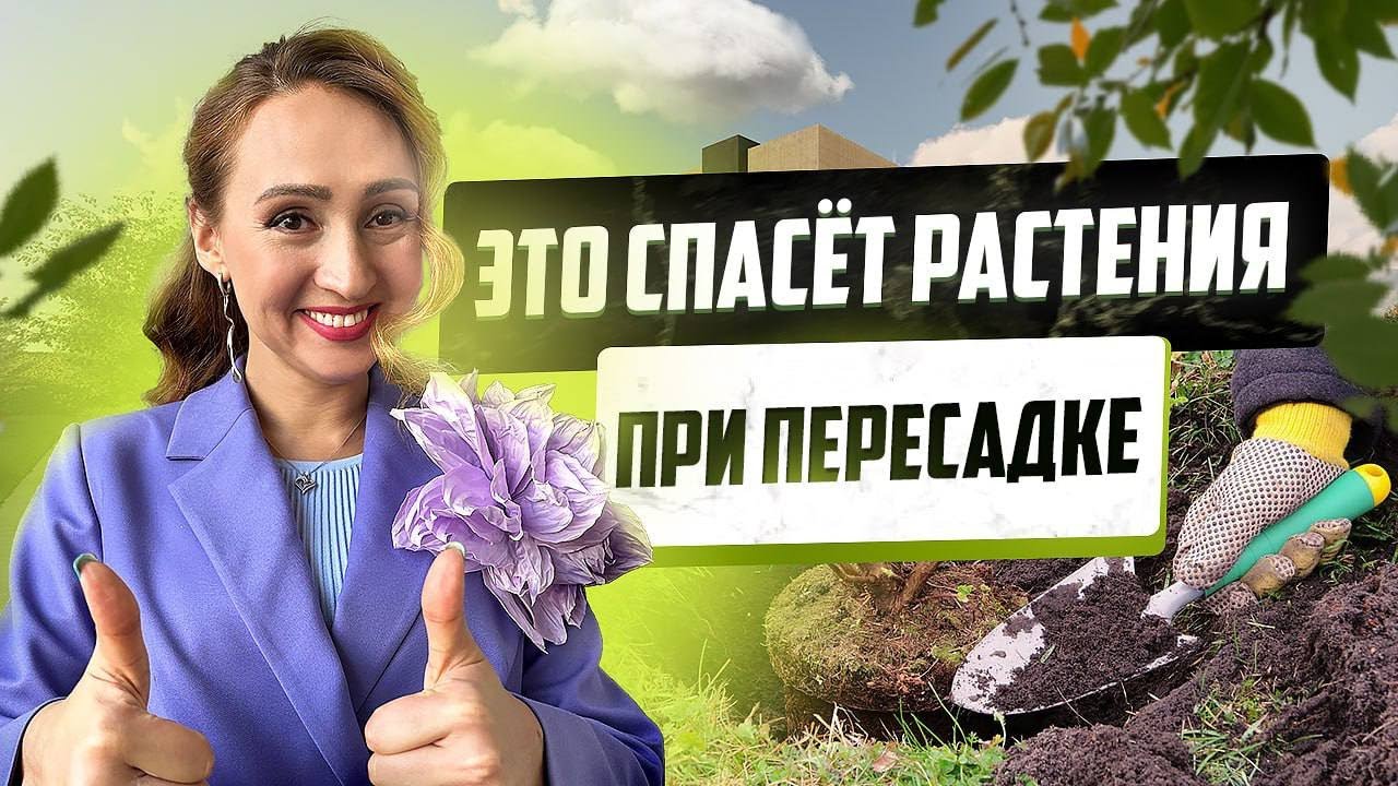 Смотреть видео