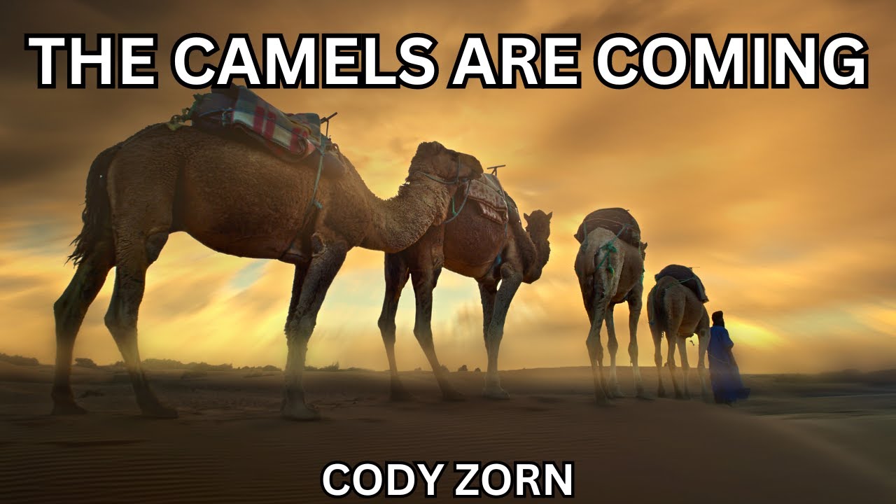 THE CAMELS ARE COMING