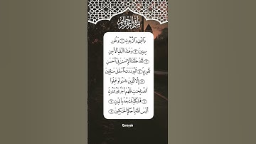 SURAH AT-TIN (سورة التين) 🤍 Egzon Ibrahimi ✨#egzonibrahimi #surahattin