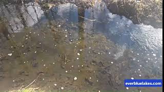 EverBlue Lakes Smart Watershed Management - Amazing results in 30 days!