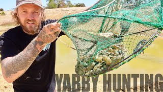 Yabby Hunting | Searching NEW Dams | (Freshwater Crayfish, Crawfish, Crawdad)
