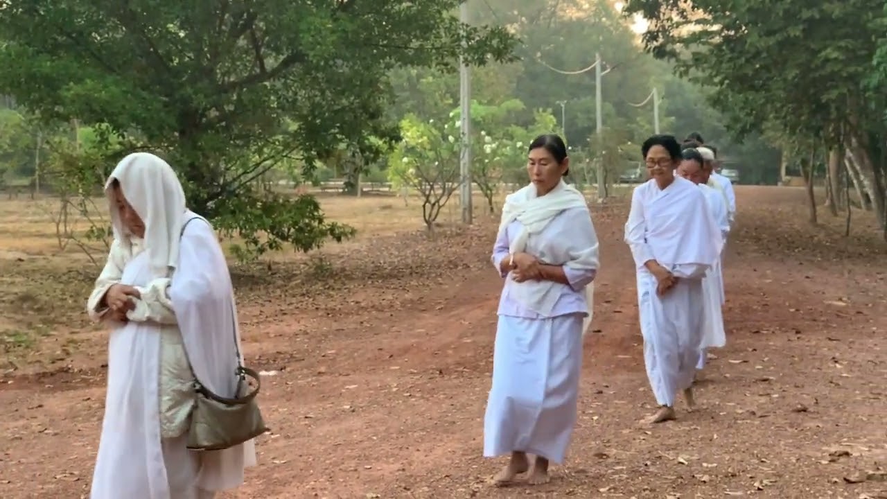 Morning meditation walking 🚶 