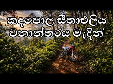 ලංකාවේ සැගවුනු සුන්දර පාරක් / kandapola sithaeliya forest bike ride
