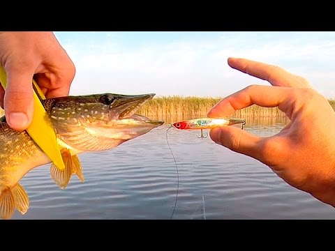 Бентовая щука. Анапа.