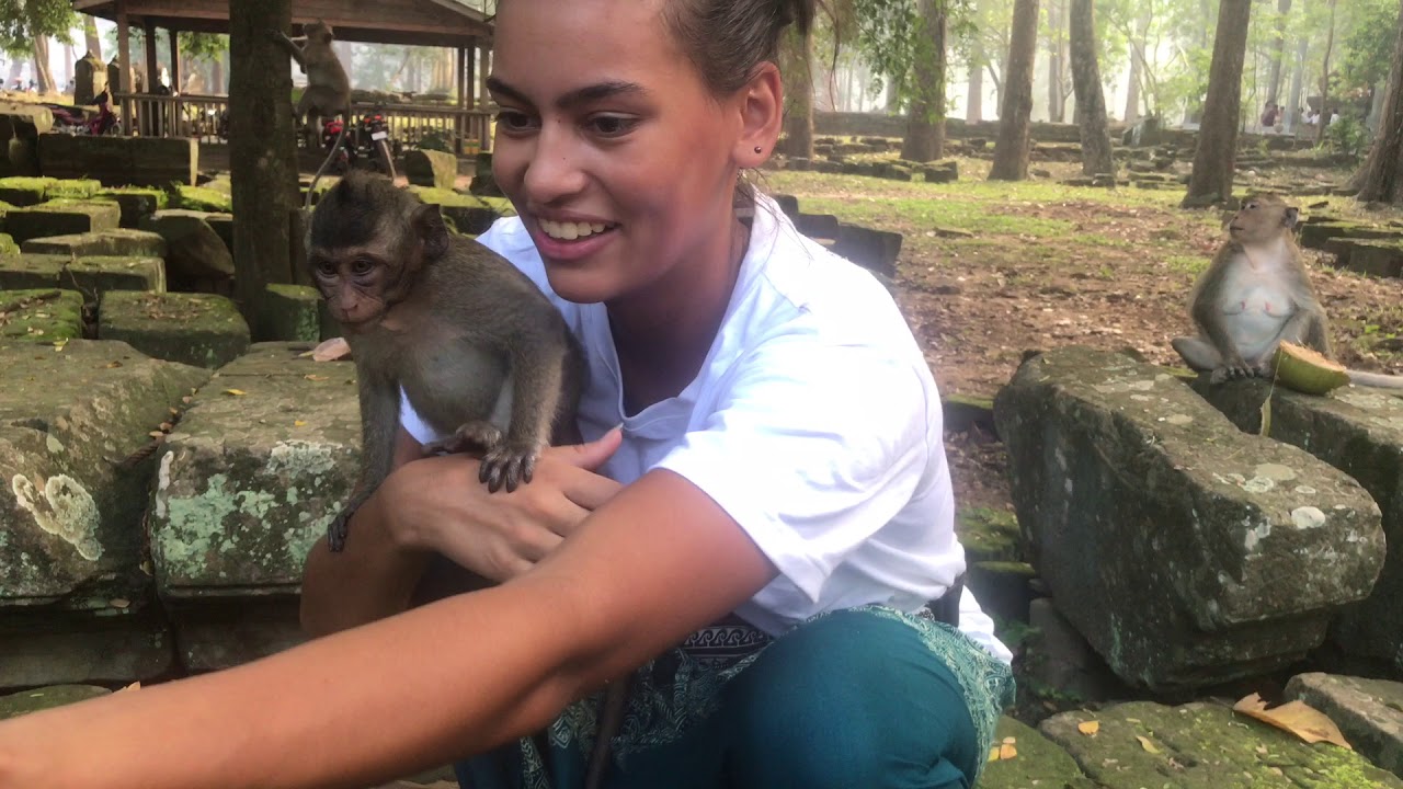 myrtle beach safari girl kissing monkeys