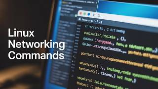 Essential Linux Commands Every Beginner Should Know