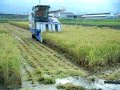 HF443 稲刈り