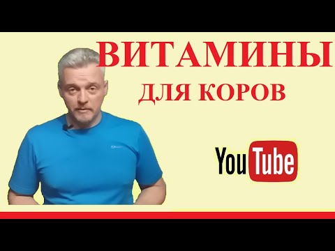 Видео: Получают ли дойные коровы витамин B12?