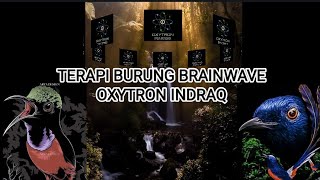 TERAPI BURUNG PALING AMPUH , BUKTIKANš„