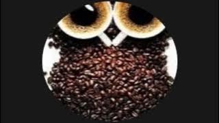 javascript:alert(1)test