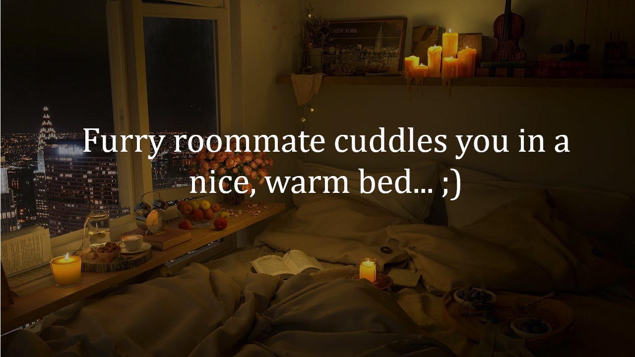 M4M Furry Roommate cuddles you in his bed again (Awwrff) ASMR