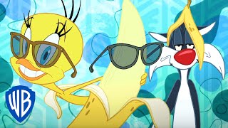 Merry Melodies: 'Yellow Bird' ft. Tweety Bird | Lo...