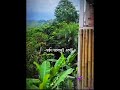 #ইসলামিক_ভিডিও #একা #islam #motivation #bandarban #bangladesh