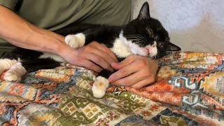 8月で2歳になるのでもんたもんたしてあげた
