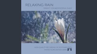 Relaxing Rain