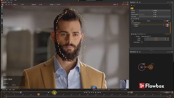 Flowbox 101 - Shape modification