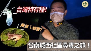 【旅人生態】Ep1. 台灣特有種:凶狠圓軸蟹&台灣暗蟬|揪派ㄟ螃蟹??|世界唯一以台灣命名的蟬?!|台南城西社區尋寶之旅|旅居日子 ME Daily