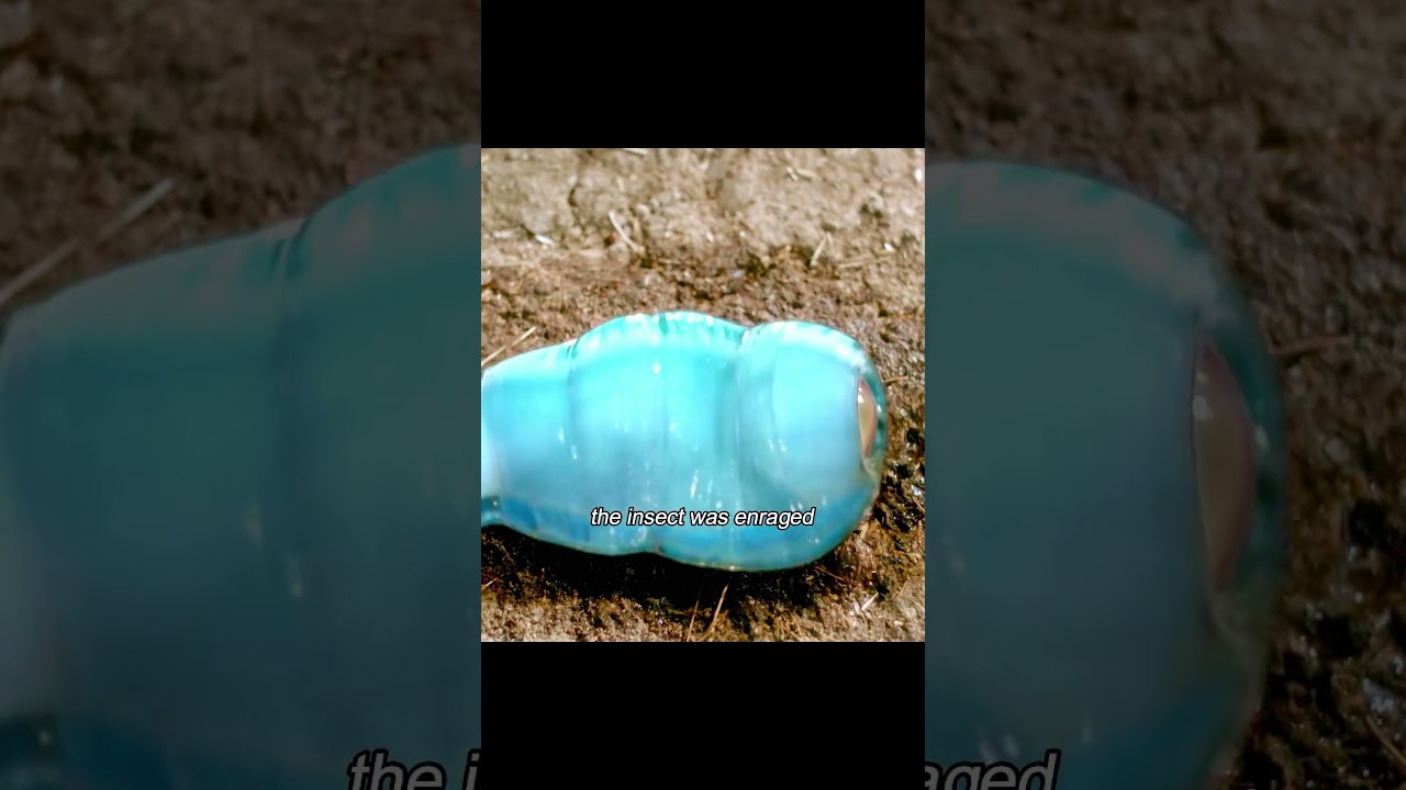 Инопланетные ледяные черви вторгаются на Землю. Поглощая тепло, они способствуют мутациям и эволю...