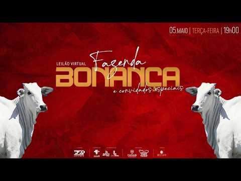 LOTE 29   EP 5526 EP 5531 EP 5523 EP 5522