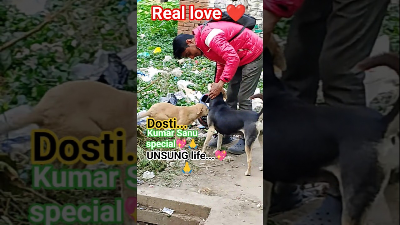 real love 💖#dosti#humanity #love status #ytshorts #youtubeshorts #shorts #emotional #trending#viral