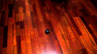 Hexbug Crab reacting to light and dark. Turn up the volume.
