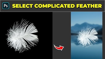 Select Complicated Feather - Photoshop Tutorial
