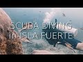 Isla Fuerte | Eat, Dive, Sleep, Repeat