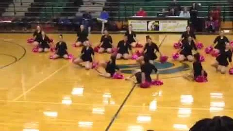 Diamond Dazzlers Team Pom 2014