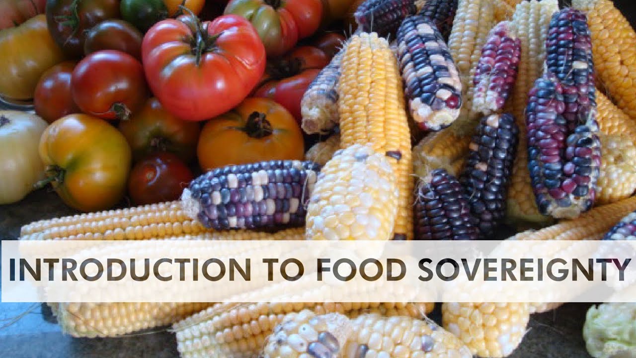 Introduction to Food Sovereignty and First Foods - YouTube