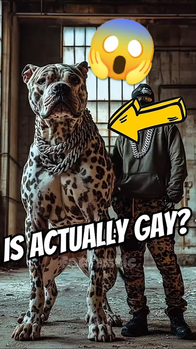 Download lagu World Most BIGGEST Dog Ever!ππ±