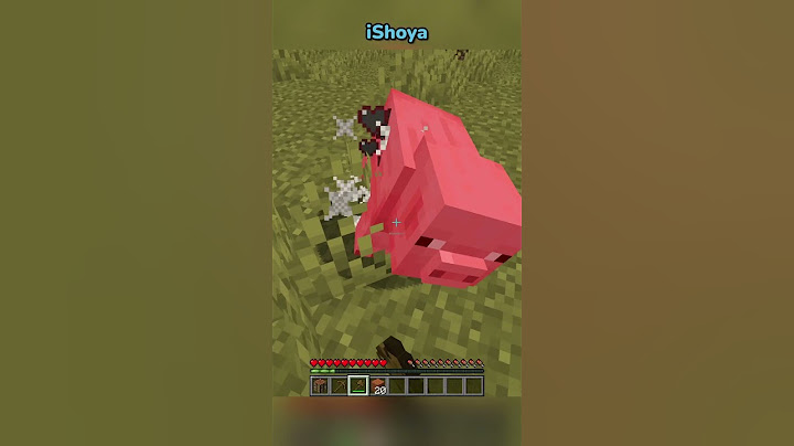 Minecraft, But I Can't Say The Letter "G"