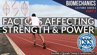 Factors Affecting Muscle Strength and Power | CSCS Chapter 2