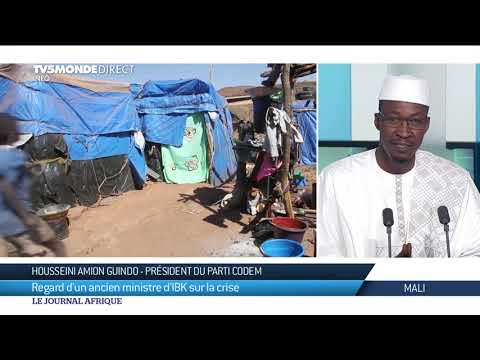 Mali Regard D Un Ex Ministre D IBK Su La Crise