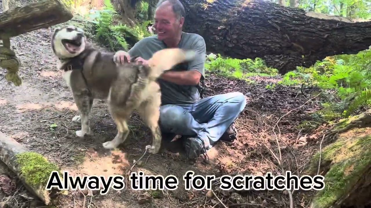 Short walk at Snoqualmie Falls Forest Theater with the huskies-no audio