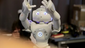 BIYSC 2018, are you in? Neuro-robotics as a tool to understand the brain.