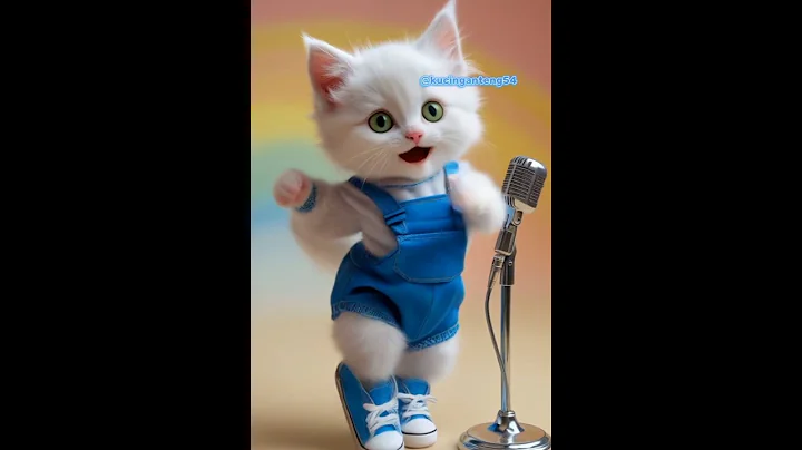 Kucing lucu goyang Tang Ting Tung 😻🍼 #kucinglucu #kucingjoget #tangtingtung #virals #shorts