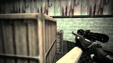 CS 1.6 - Morra AWP-Ace flashed and noscoope!
