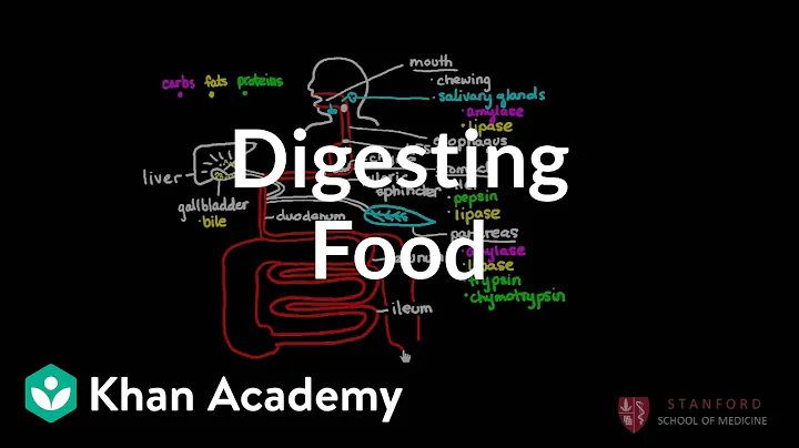 Digesting Food - DayDayNews