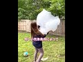 空から落ちる雲の正体 ☁️😳のサムネイル