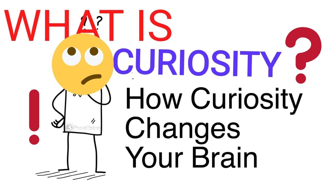 WHAT IS CURIOSITY? KNOW ABOUT HUMAN EMOTION - YouTube