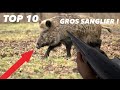 TOP 10 : TIRS DE GROS SANGLIERS BEST OF !!!  2021